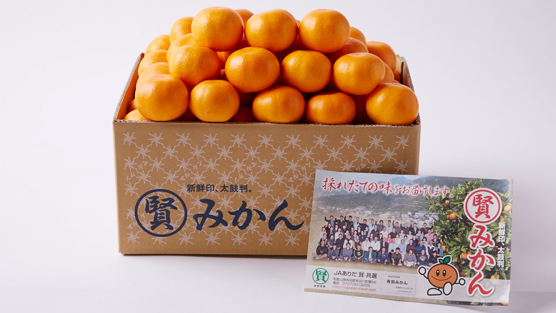 マルケンみかんとは | マルケンみかん